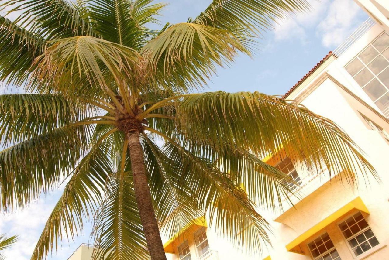 2 Bedroom Ocean Drive Newly Renovated Miami Beach Buitenkant foto